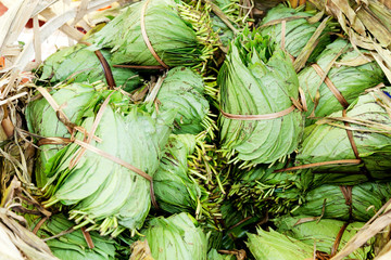 Betel Nut leaves