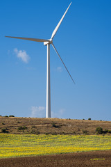 wind turbine generator