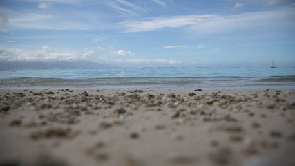 Paesaggi della polinesia