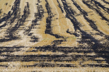 texture agriculture