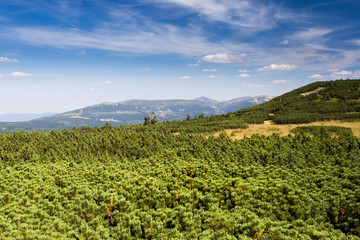 Fototapeta na wymiar Krkonose. Czech nature. Summer vacation in mountains