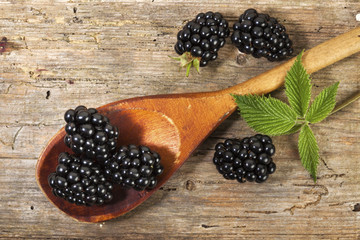 Blackberries on kitchen spoon