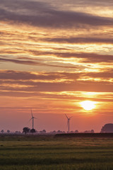 Wind turbines in marsh landscape of Lower Saxony at sunset