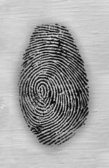 abstract Fingerprint