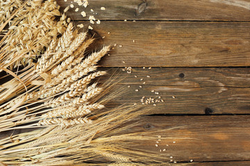 Three kinds of cereals - rye, wheat, oats on a wooden background