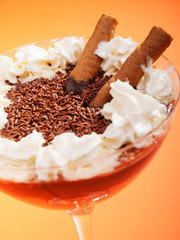 Chocolate cream with vanilla