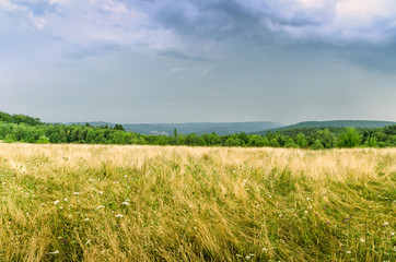 Nature. Before the storm.
