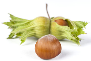 Hazelnut with Green