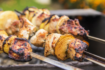 blurred background Fried kebab on skewers on a picnic