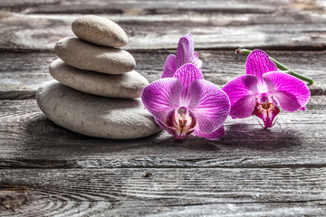 delicate pink orchids and pebbles on old texture gray wood