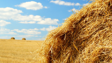 Hay bale closeup