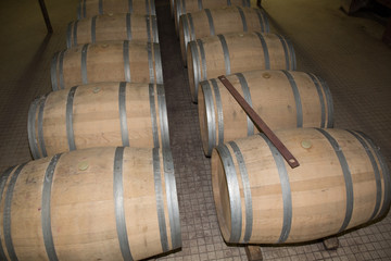 Wine Cellar with Rusty Wooden Barrels