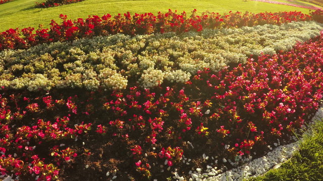 Flower Garden in city park