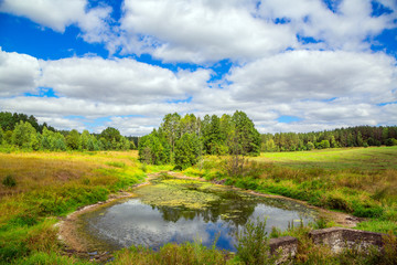 landscape, lake and trees