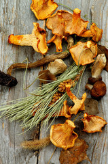 Dried Mushrooms