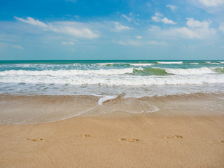 beautiful beach and tropical sea