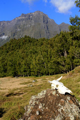 cirque de Mafate, Réunion
