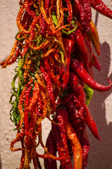 red hot chili pepper