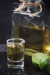 Tequila served with salt and lime