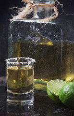 Tequila served with salt and lime