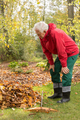 Senior man working in a garden