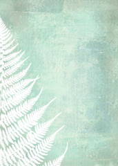 Illustration of fern leaves on shabby background. Foliage design