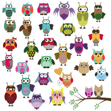 set of owls with different emotions