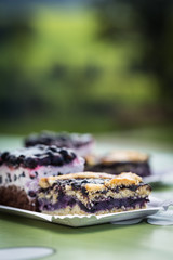 homemade blueberry pie