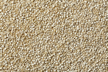 Raw Quinoa seeds
