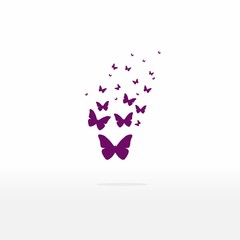 Vector butterflies background design © photoplotnikov