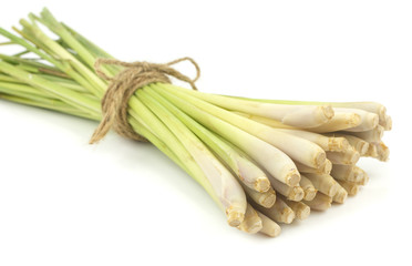 Lemon grass  on white
