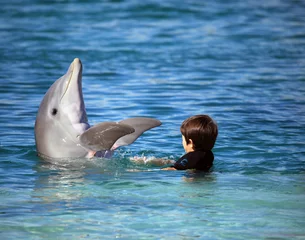 Photo sur Plexiglas Dauphin Enfant jouant avec un dauphin mignon dans l& 39 eau bleue