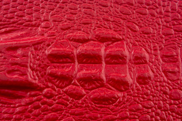 Red crocodile leather with alligator head