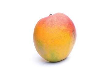 Mango fruit on white background