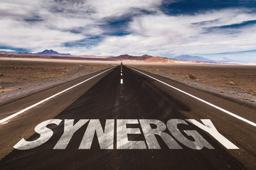 Synergy written on desert road