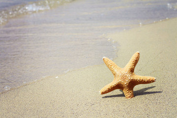 Starfish, sand, beach, sea. Summer holiday background