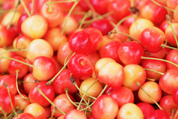 Ripe berries of sweet cherry as a background for design