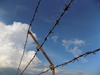 Barbed wire and sky