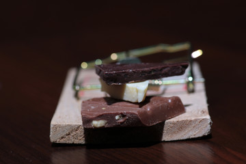 Chocolate in a mousetrap diet