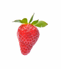 Fresh strawberries on a white background
