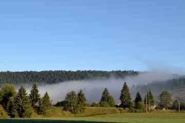 Paysage de Montagne