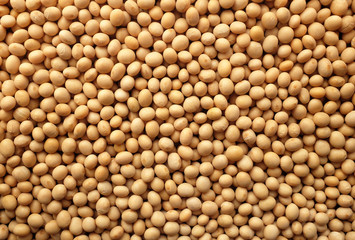 Soya beans, or soybeans background - obrazy, fototapety, plakaty