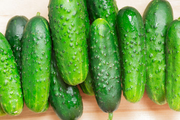Fresh cucumbers, green a heap of