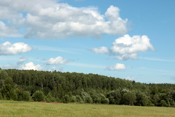 rural landscape field forest
