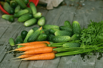 fresh crop of carrots and cucumbers