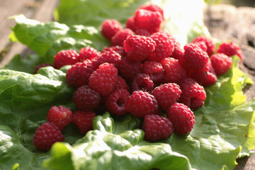 raspberry on a green leaf