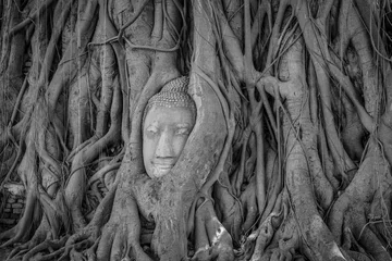 Papier Peint photo autocollant Bouddha Black & White Head of buddha statue
