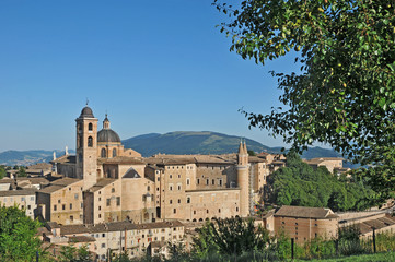 Urbino, Marche