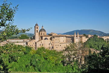 Urbino, Marche