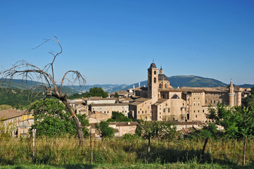 Urbino, Marche